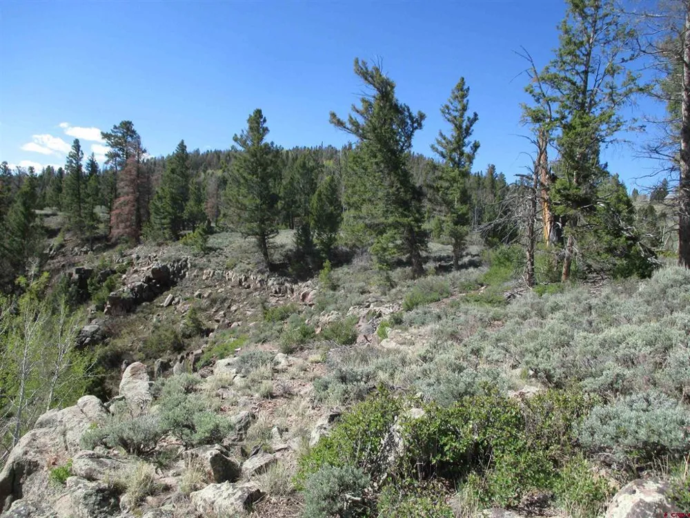 51 Mosquito Way Powderhorn, CO 81243