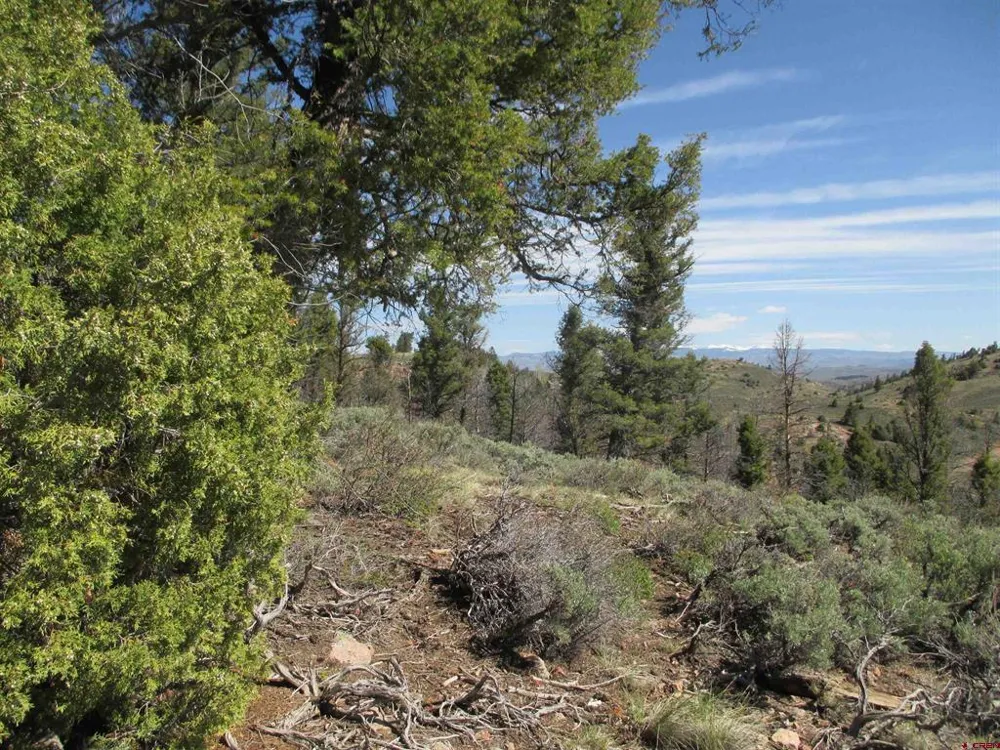 51 Mosquito Way Powderhorn, CO 81243