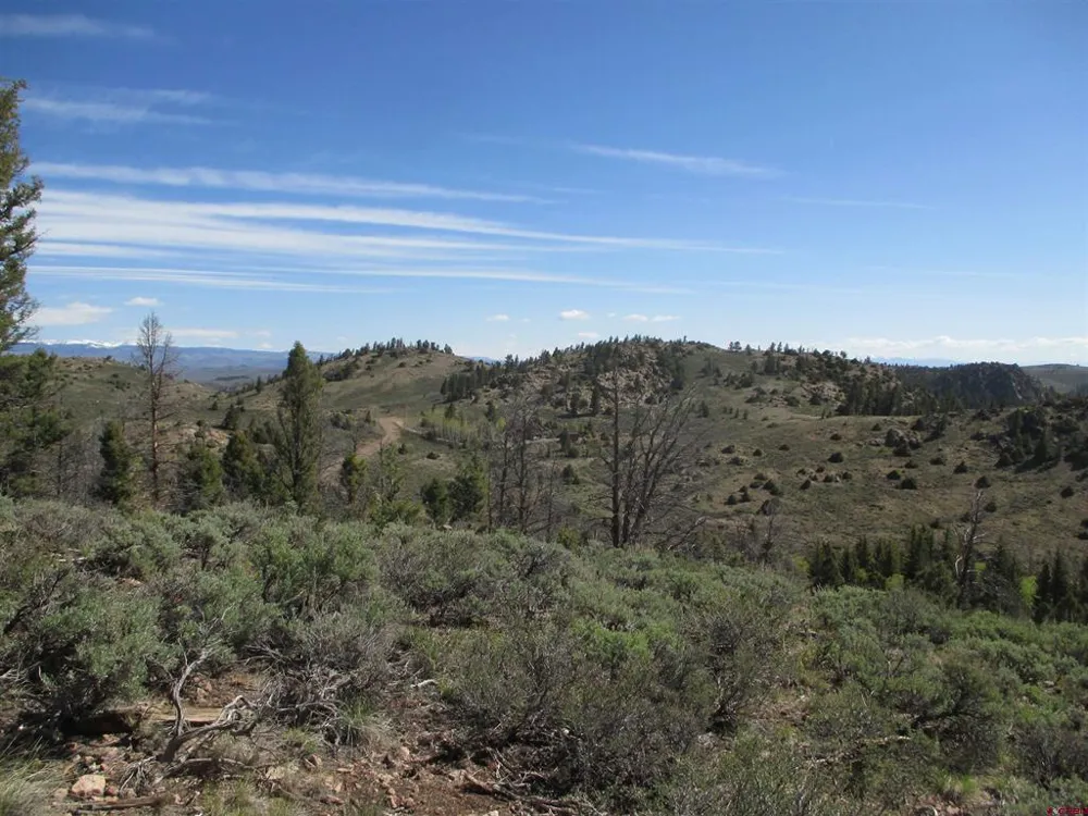 51 Mosquito Way Powderhorn, CO 81243