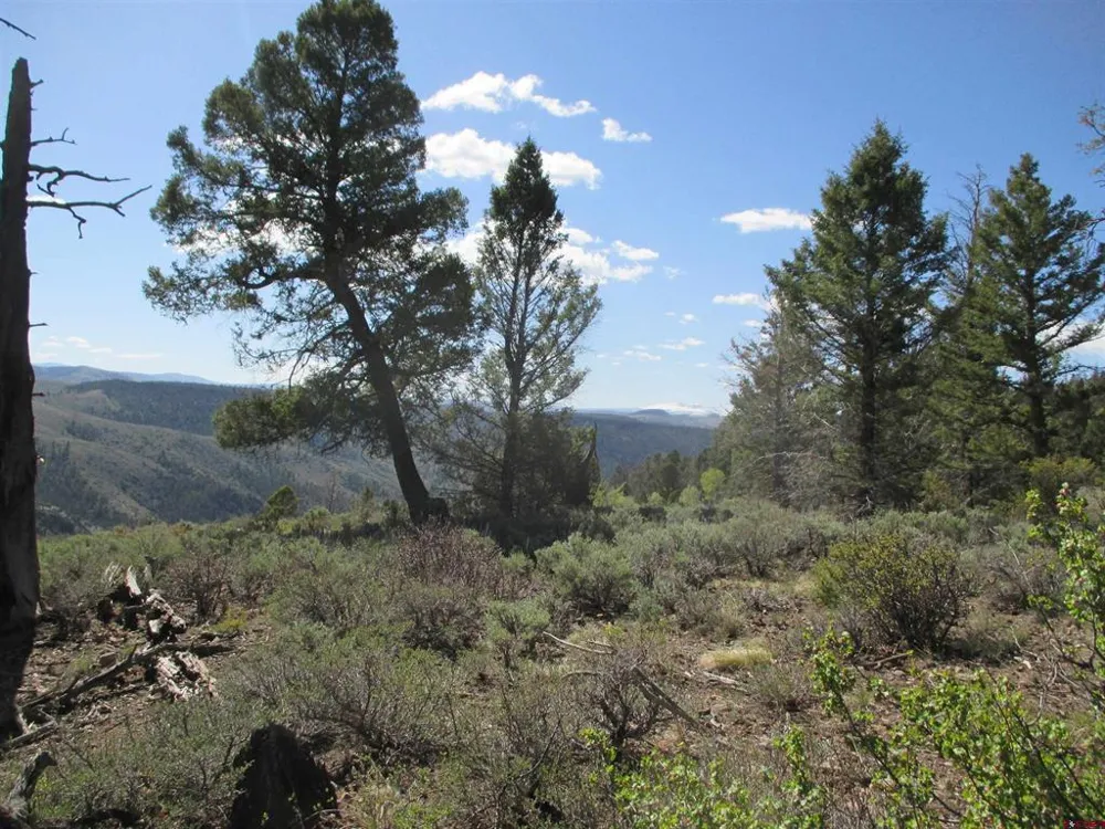 51 Mosquito Way Powderhorn, CO 81243
