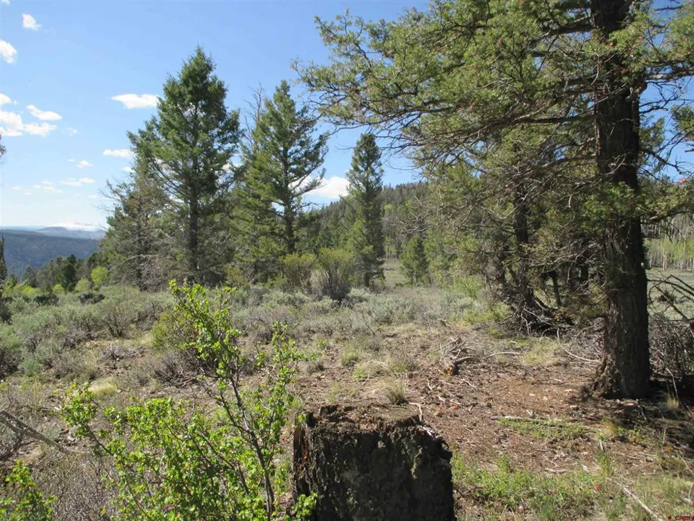 51 Mosquito Way Powderhorn, CO 81243