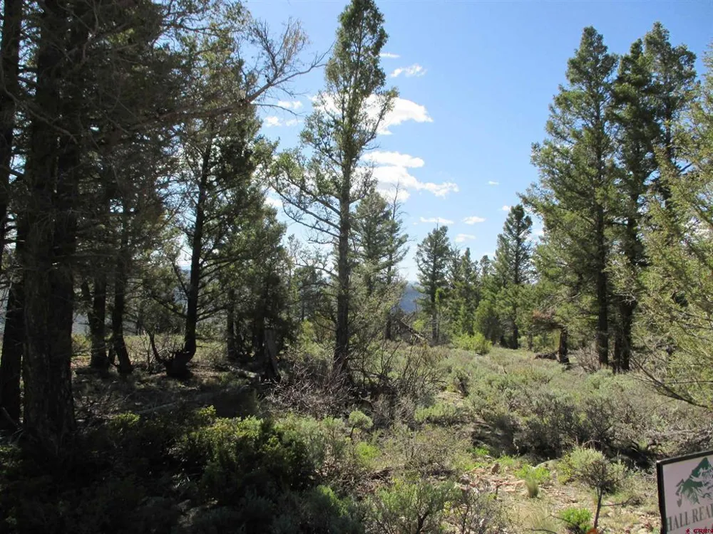 51 Mosquito Way Powderhorn, CO 81243