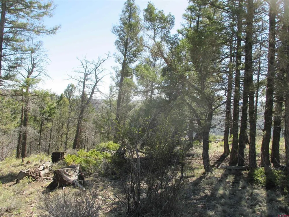 51 Mosquito Way Powderhorn, CO 81243