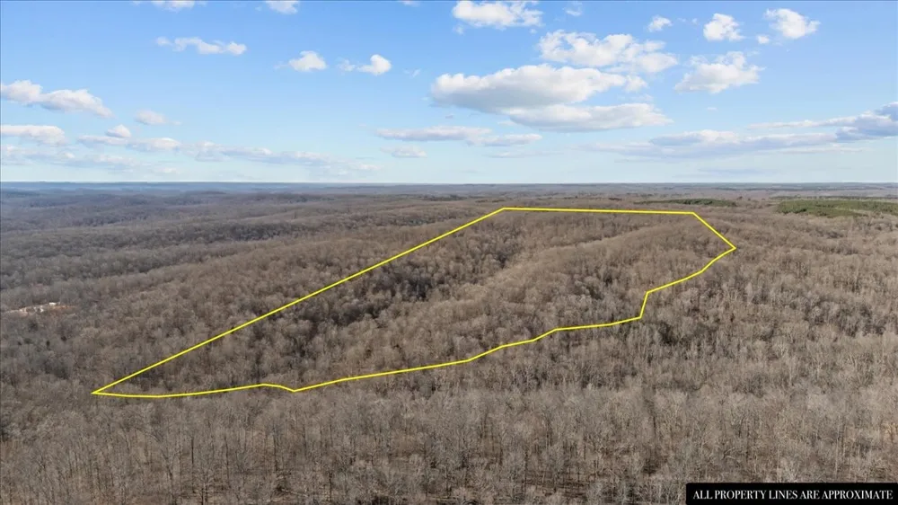 0 West of Magnolia Road Stewart, TN 37175