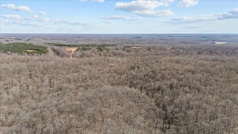 0 West of Magnolia Road Stewart, TN 37175