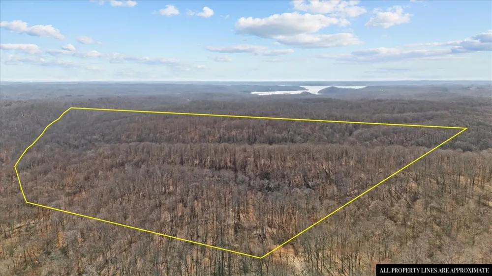 0 West of Magnolia Road Stewart, TN 37175