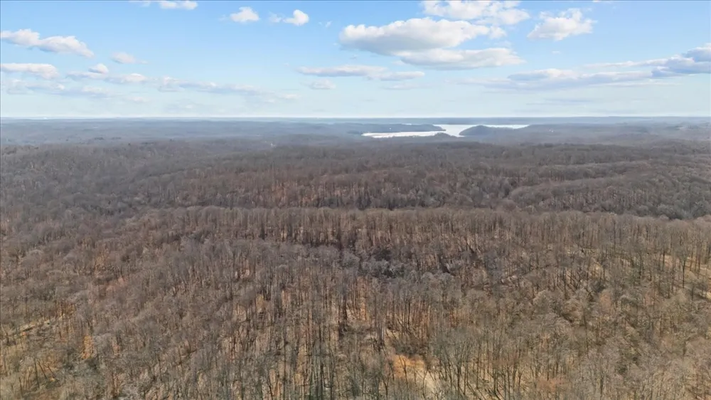 0 West of Magnolia Road Stewart, TN 37175
