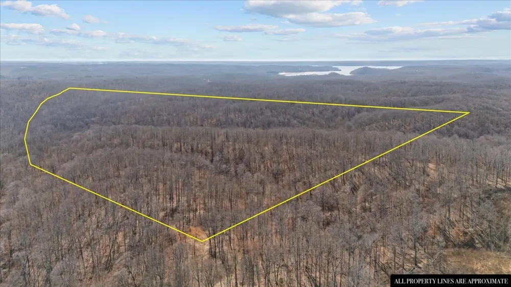 0 West of Magnolia Road Stewart, TN 37175