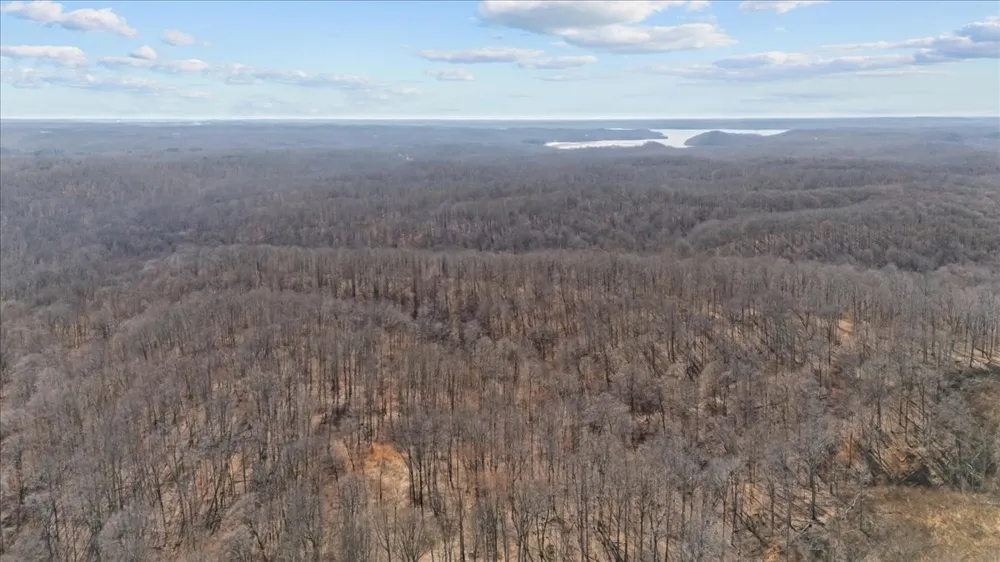 0 West of Magnolia Road Stewart, TN 37175