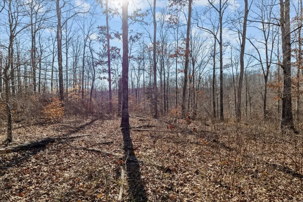 0 West of Magnolia Road Stewart, TN 37175