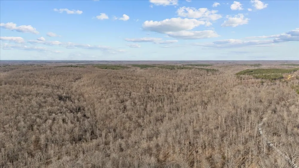 0 West of Magnolia Road Stewart, TN 37175