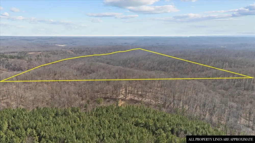 0 West of Magnolia Road Stewart, TN 37175