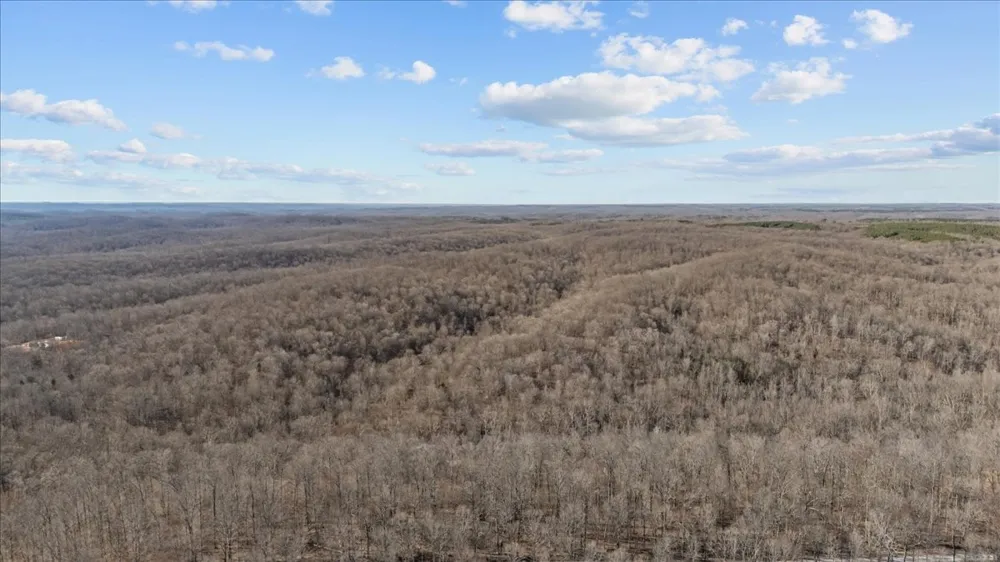 0 West of Magnolia Road Stewart, TN 37175
