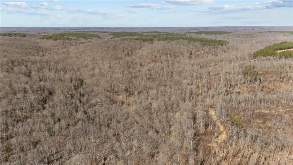0 West of Magnolia Road Stewart, TN 37175