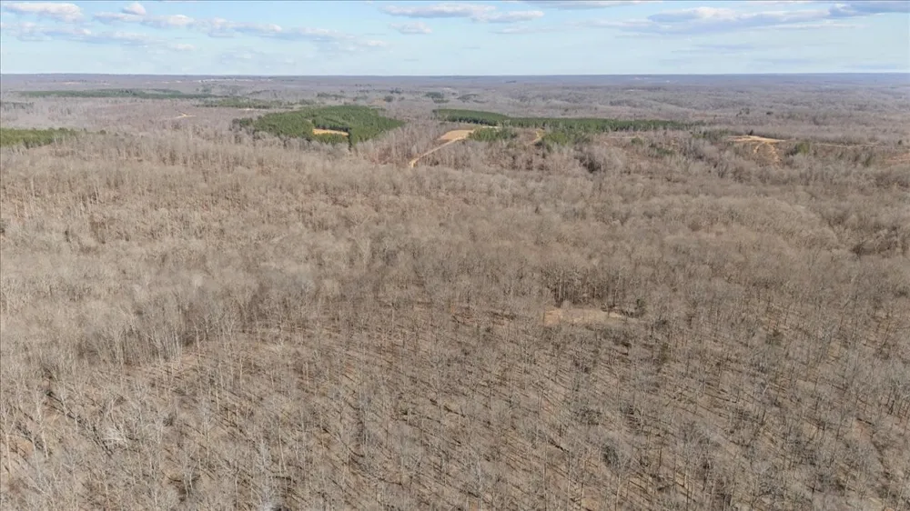0 West of Magnolia Road Stewart, TN 37175