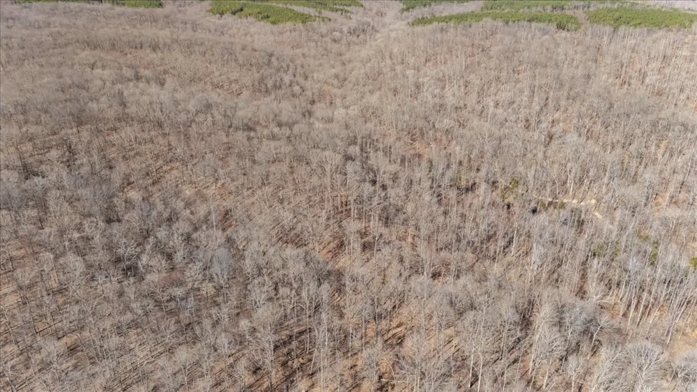 0 West of Magnolia Road Stewart, TN 37175