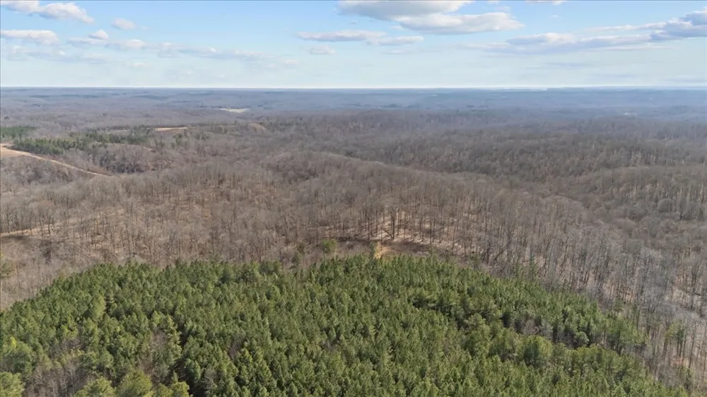 0 West of Magnolia Road Stewart, TN 37175