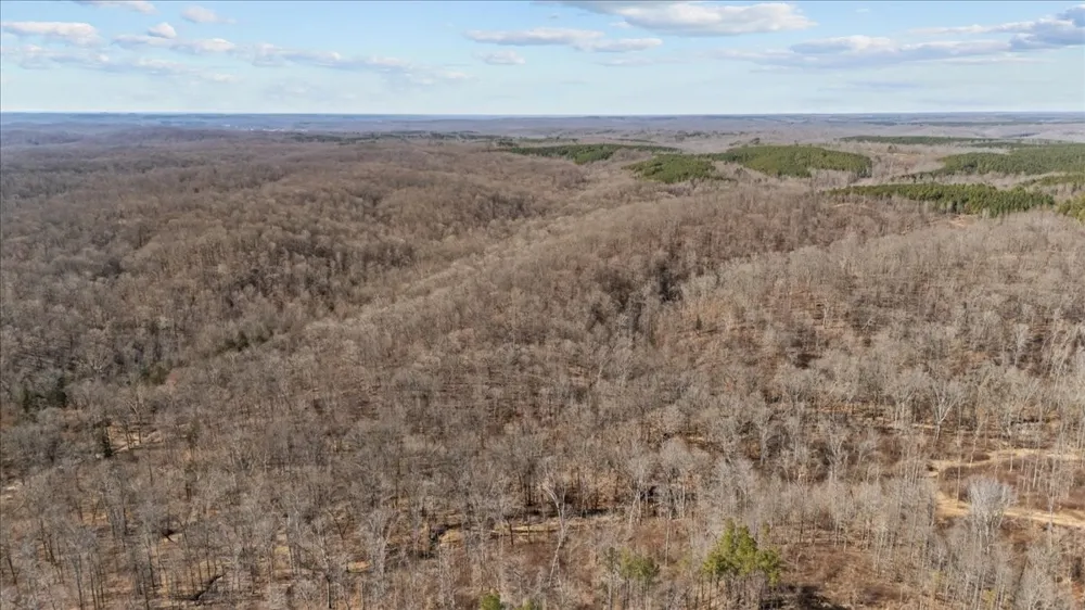 0 West of Magnolia Road Stewart, TN 37175