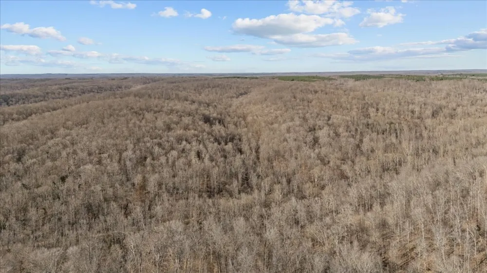 0 West of Magnolia Road Stewart, TN 37175