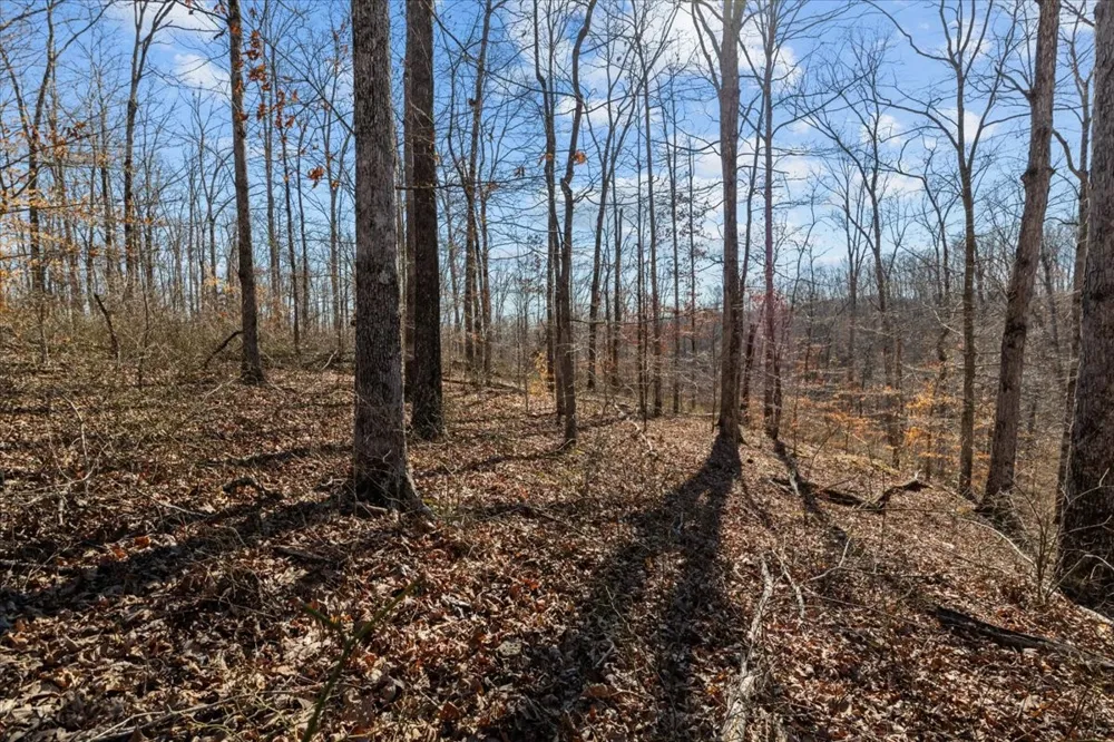 0 West of Magnolia Road Stewart, TN 37175