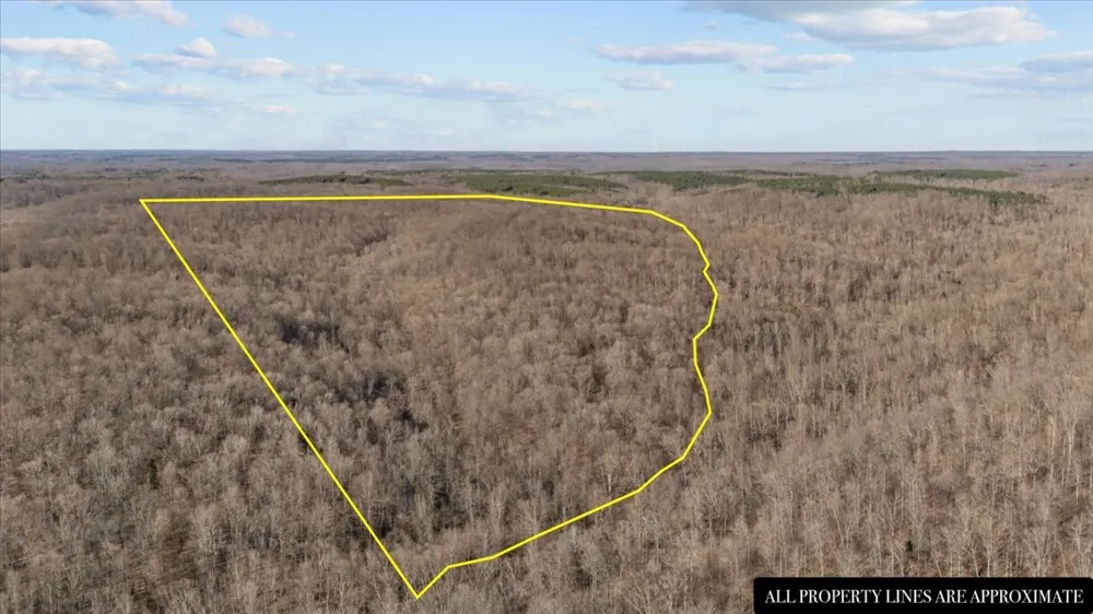 0 West of Magnolia Road Stewart, TN 37175