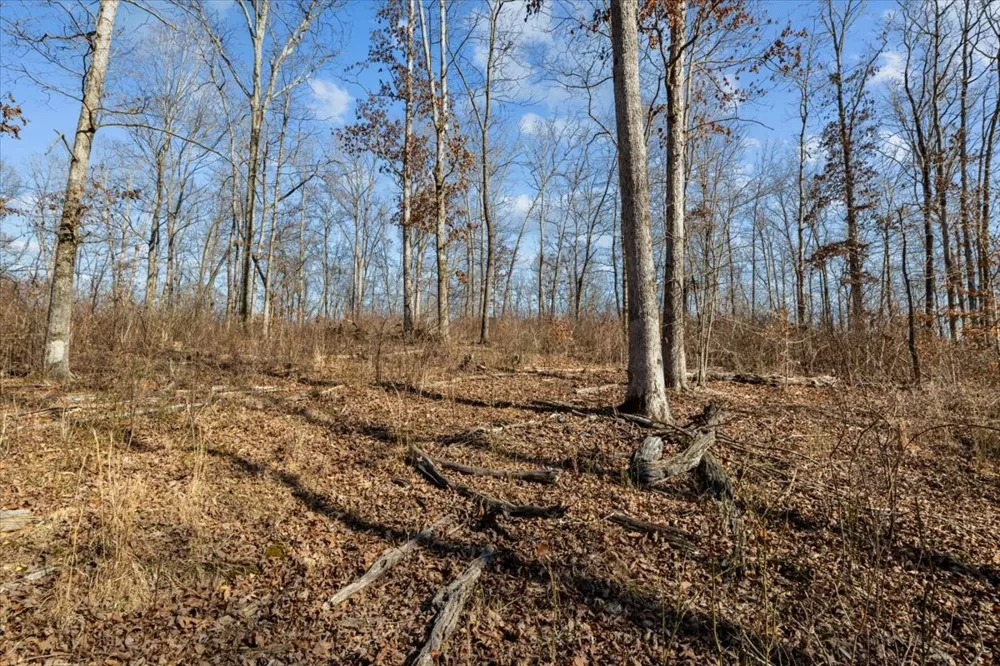 0 West of Magnolia Road Stewart, TN 37175
