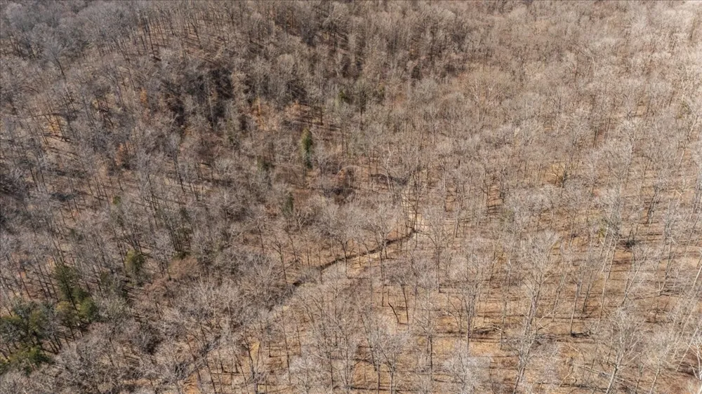 0 West of Magnolia Road Stewart, TN 37175