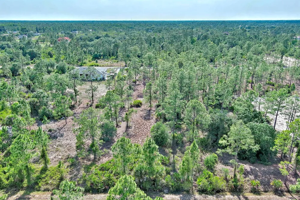 317 Fitch Ave Lehigh Acres, FL 33936
