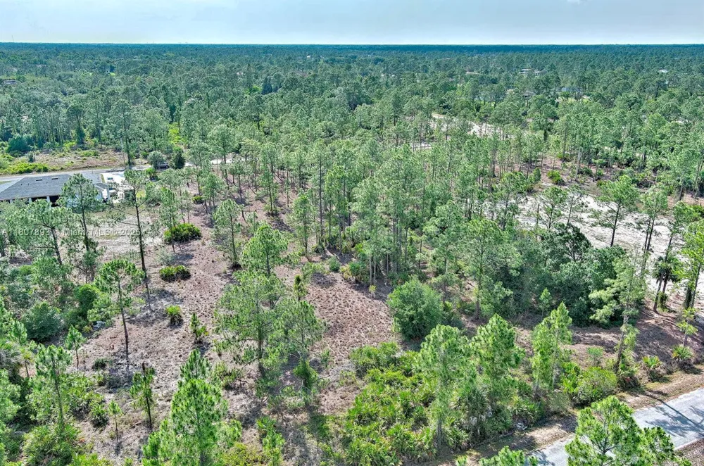 317 Fitch Ave Lehigh Acres, FL 33936
