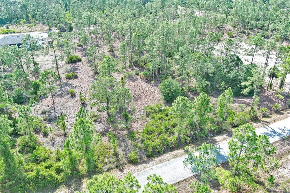317 Fitch Ave Lehigh Acres, FL 33936