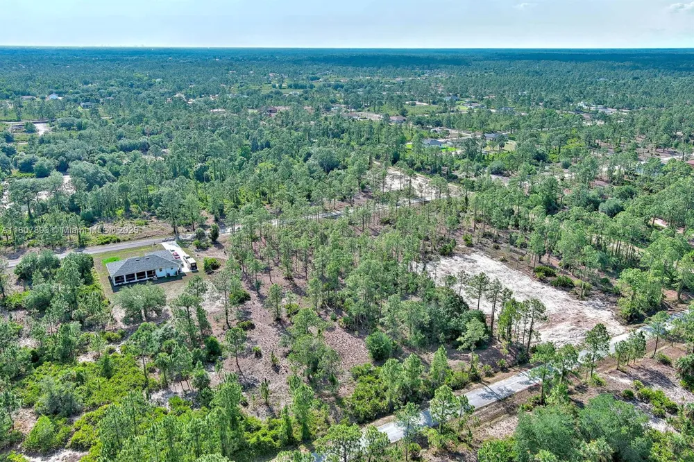 317 Fitch Ave Lehigh Acres, FL 33936