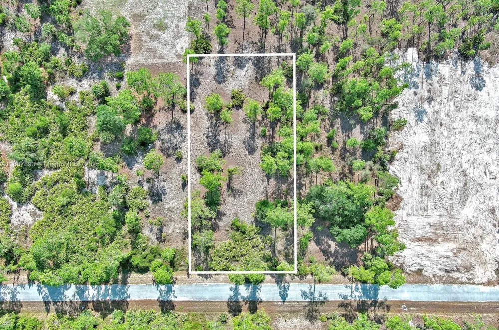 317 Fitch Ave Lehigh Acres, FL 33936