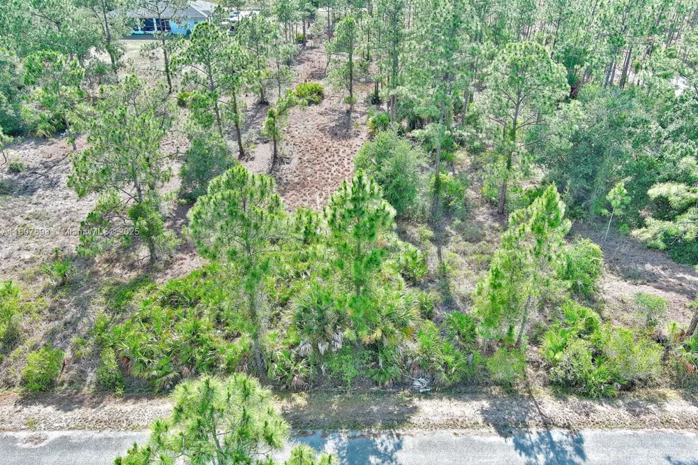 317 Fitch Ave Lehigh Acres, FL 33936