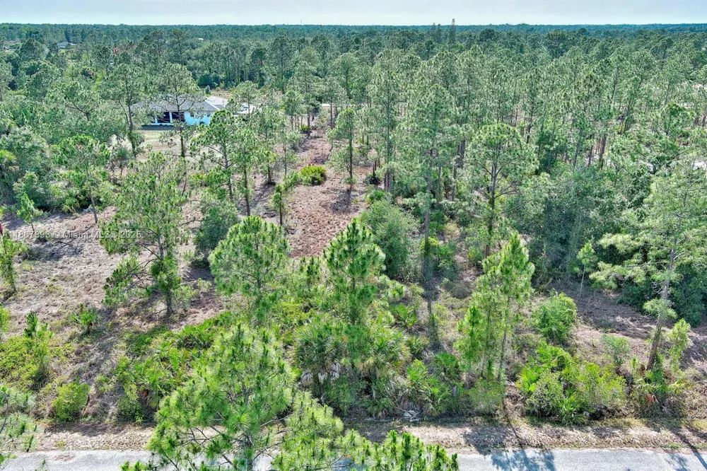 317 Fitch Ave Lehigh Acres, FL 33936