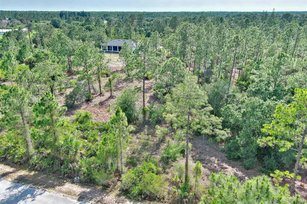 317 Fitch Ave Lehigh Acres, FL 33936