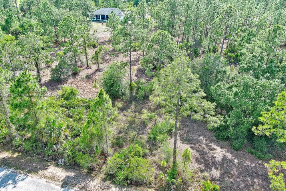 317 Fitch Ave Lehigh Acres, FL 33936