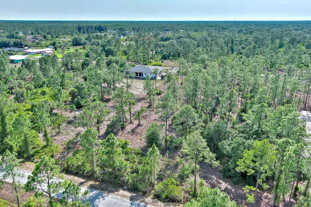 317 Fitch Ave Lehigh Acres, FL 33936