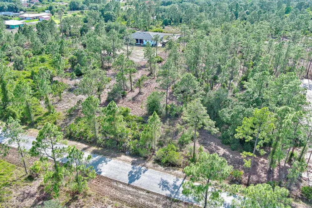 317 Fitch Ave Lehigh Acres, FL 33936