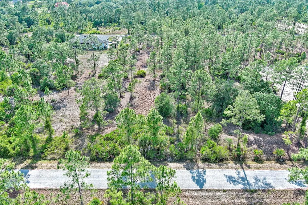 317 Fitch Ave Lehigh Acres, FL 33936