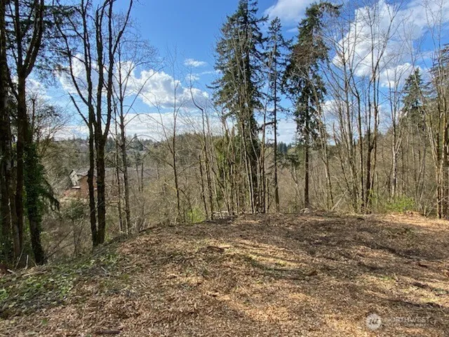 8 xxx 136th Avenue SE Newcastle, WA 98059