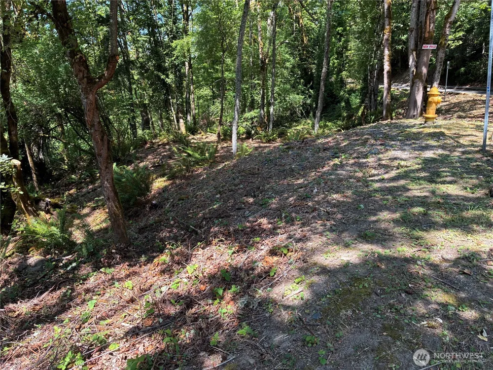 8 xxx 136th Avenue SE Newcastle, WA 98059