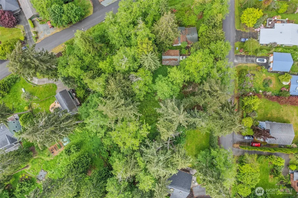 0 Minor Way (Lot 55) Greenbank, WA 98253