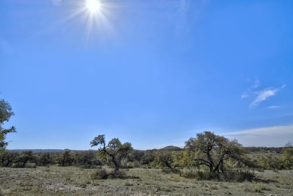 343 Cattle Creek Drive Johnson City, TX 78636