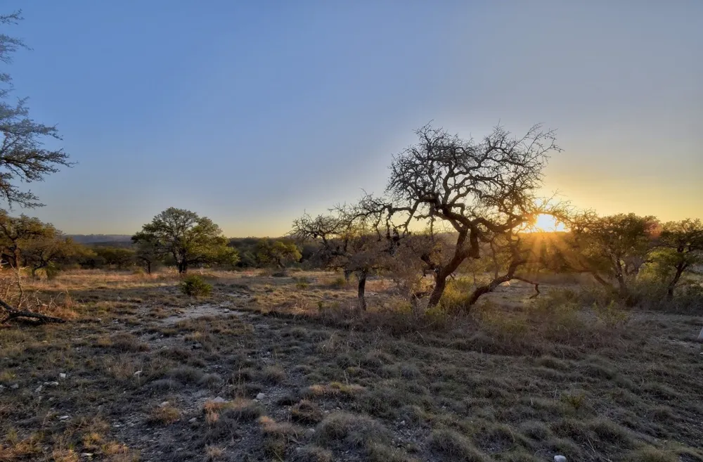 343 Cattle Creek Drive Johnson City, TX 78636