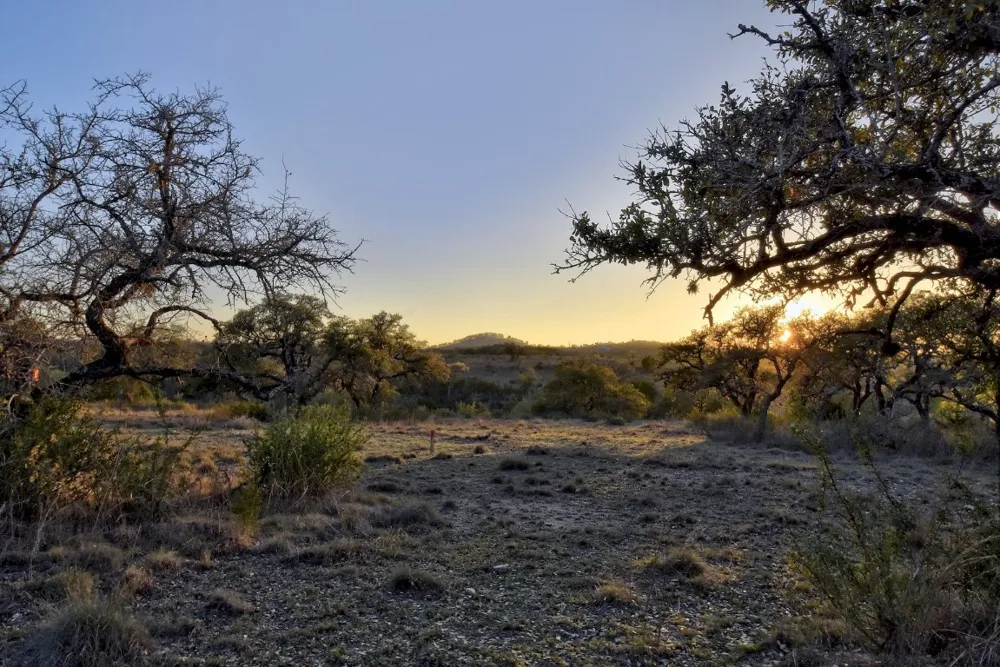 343 Cattle Creek Drive Johnson City, TX 78636