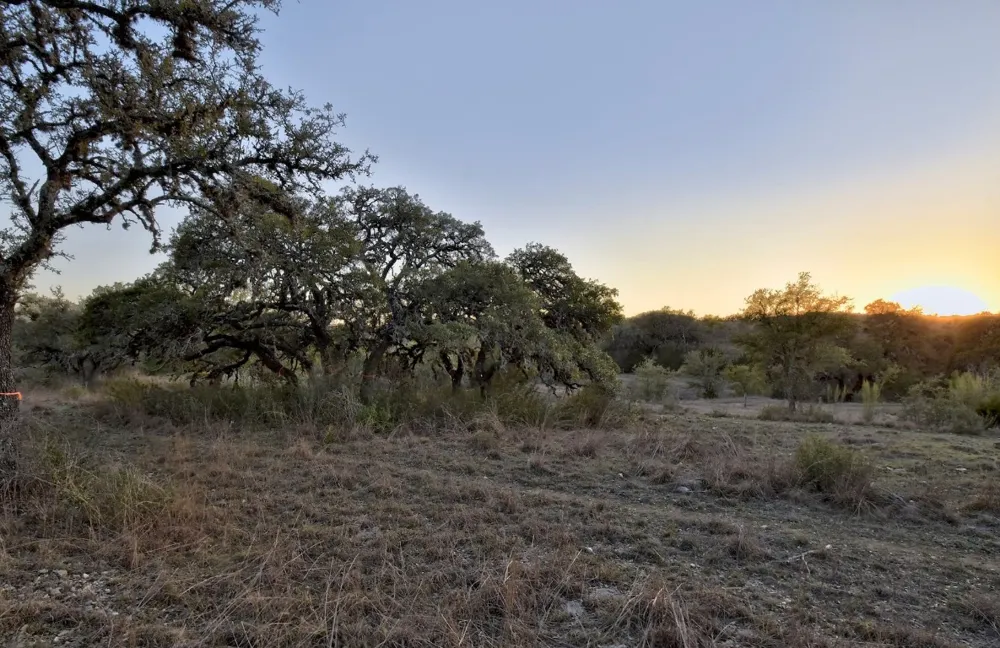 343 Cattle Creek Drive Johnson City, TX 78636