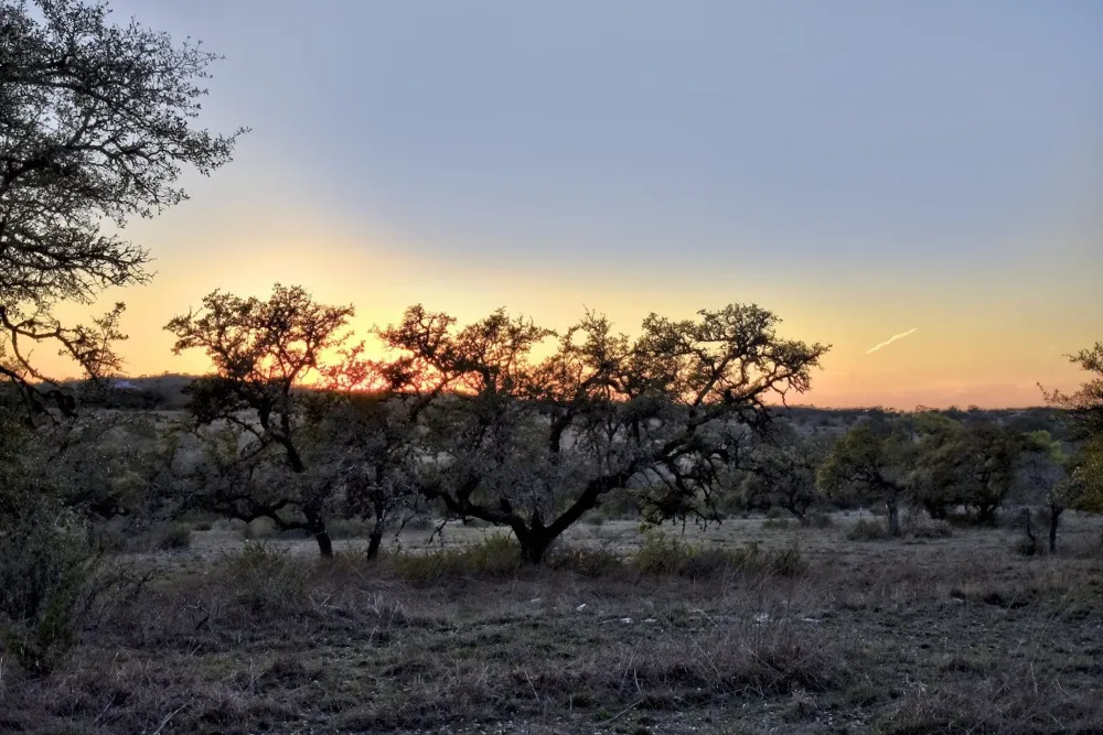 343 Cattle Creek Drive Johnson City, TX 78636
