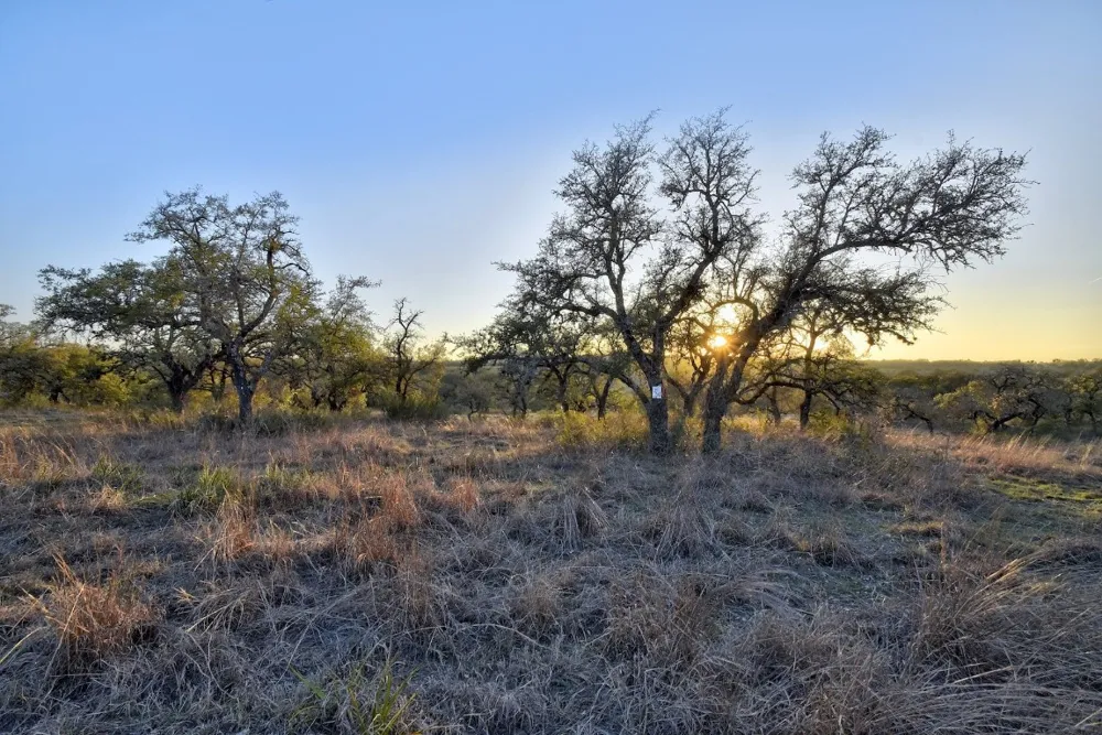 343 Cattle Creek Drive Johnson City, TX 78636