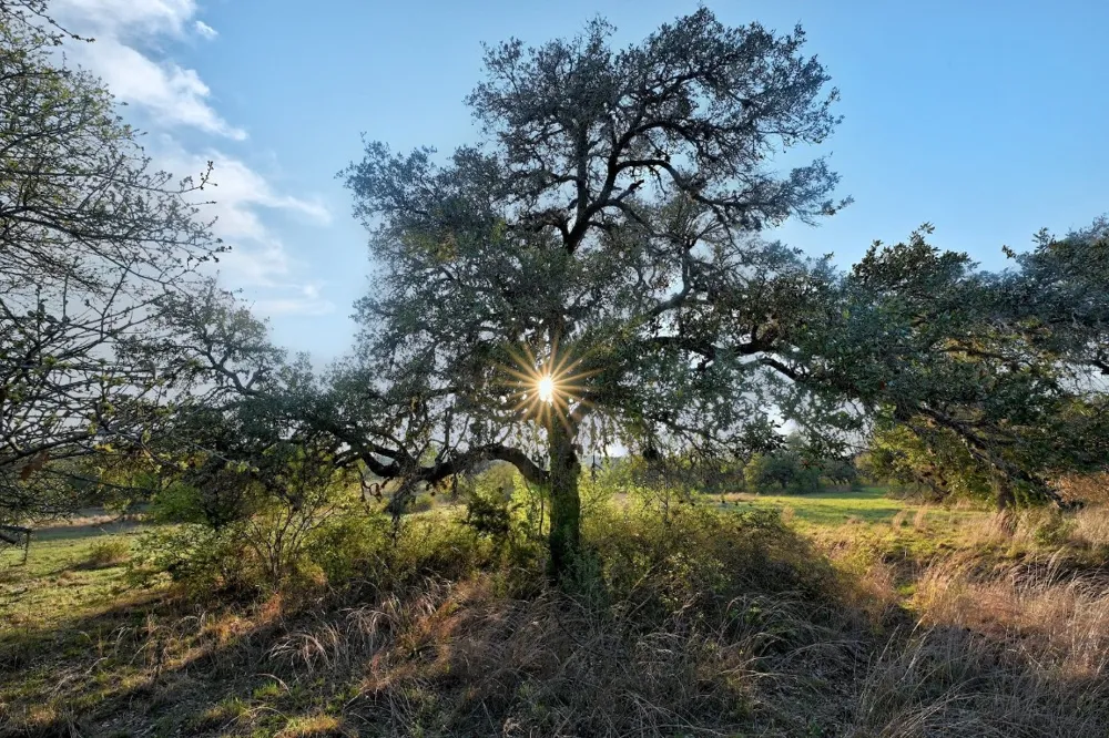 343 Cattle Creek Drive Johnson City, TX 78636
