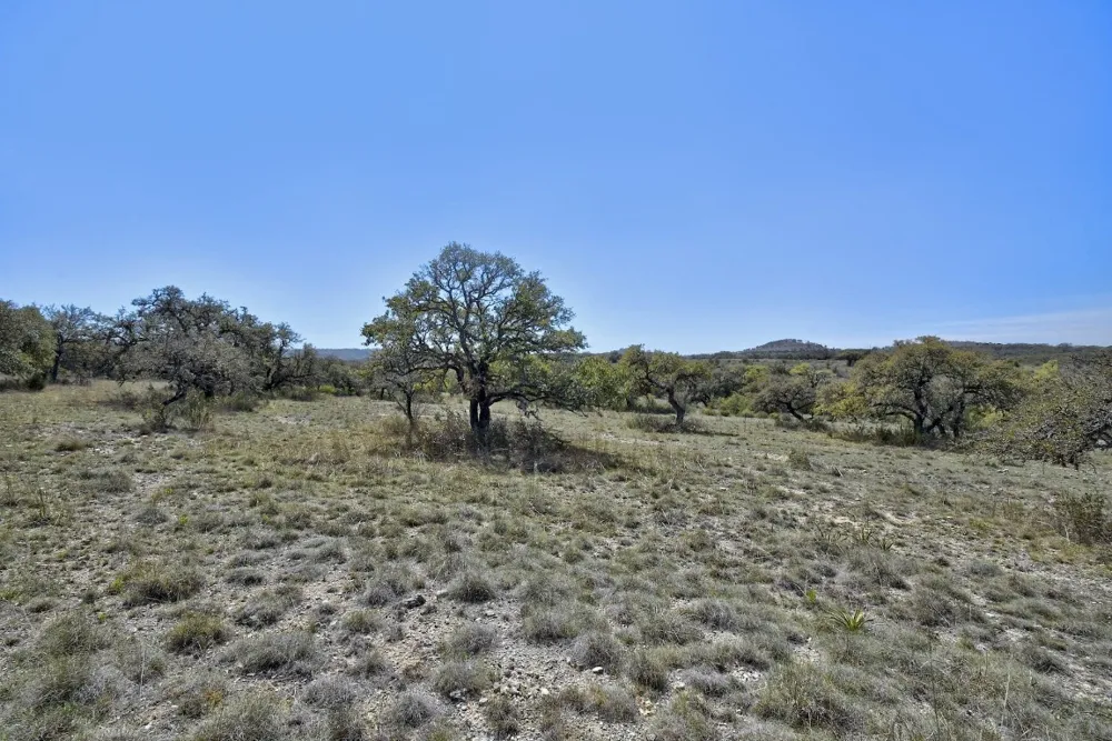 343 Cattle Creek Drive Johnson City, TX 78636